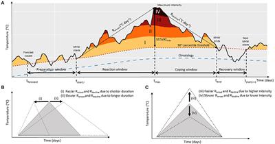 Onset and Decline Rates of Marine Heatwaves: Global Trends, Seasonal Forecasts and Marine Management